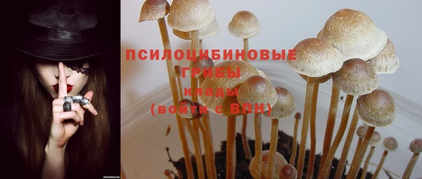 скорость Елабуга