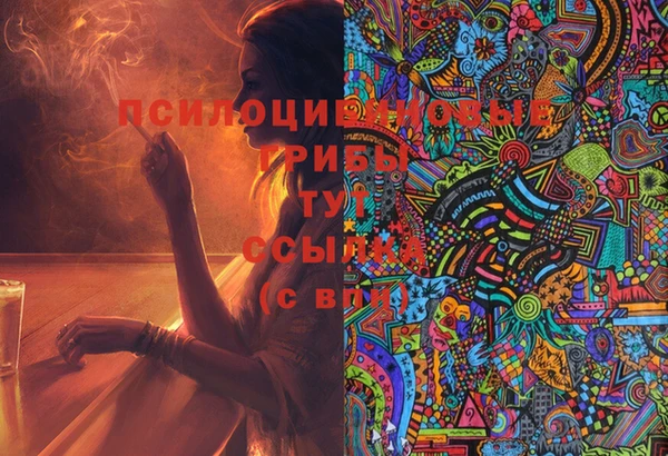 мяу мяу мука Ельня