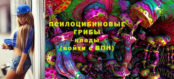 2c-b Елизово