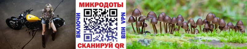 Псилоцибиновые грибы MAGIC MUSHROOMS  ОМГ ОМГ рабочий сайт  Канаш  где продают  