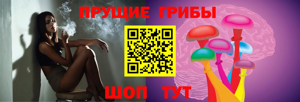 Галлюциногенные грибы прущие грибы  Вход с VPN  магазин  наркотиков  Канаш 